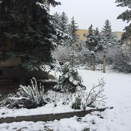 Next To University Дебрецен Экстерьер фото