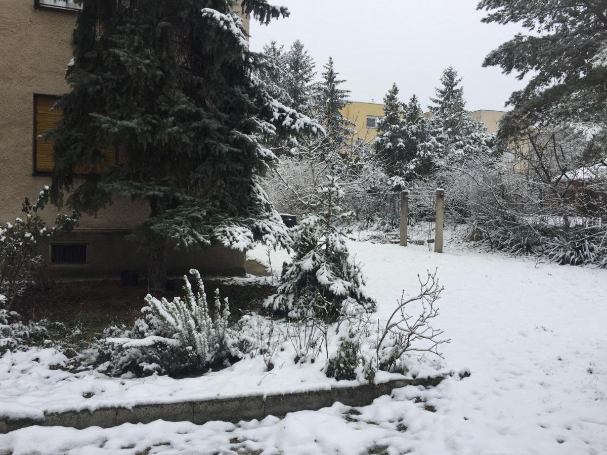 Next To University Дебрецен Экстерьер фото
