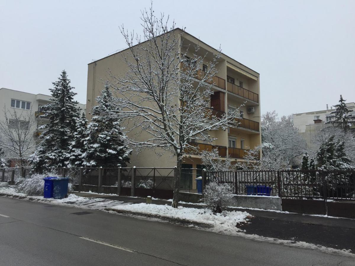 Next To University Дебрецен Экстерьер фото